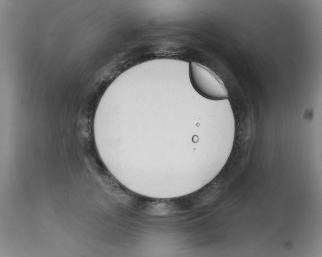 X0000112840755200909181712