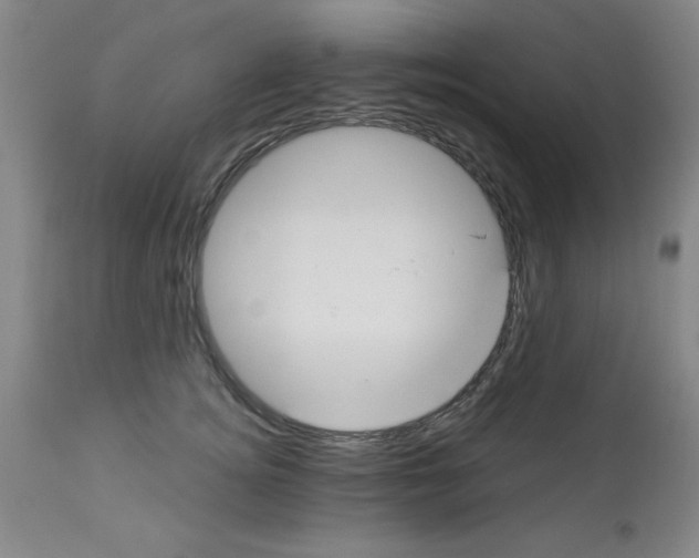 X0000112840756200909181712