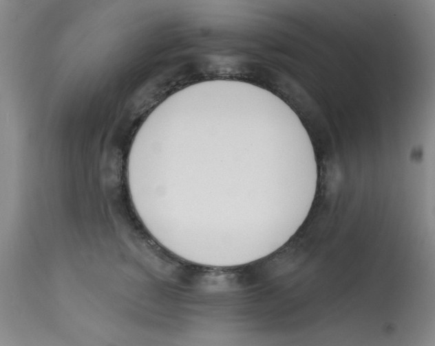 X0000112840760200909181712