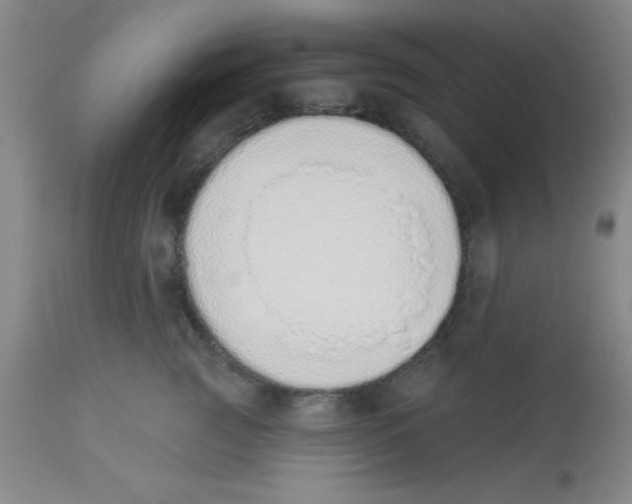 X0000112840761200909181712