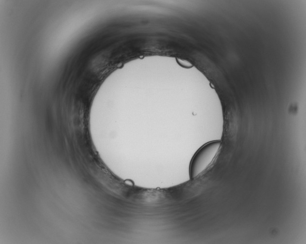 X0000112840762200909181712