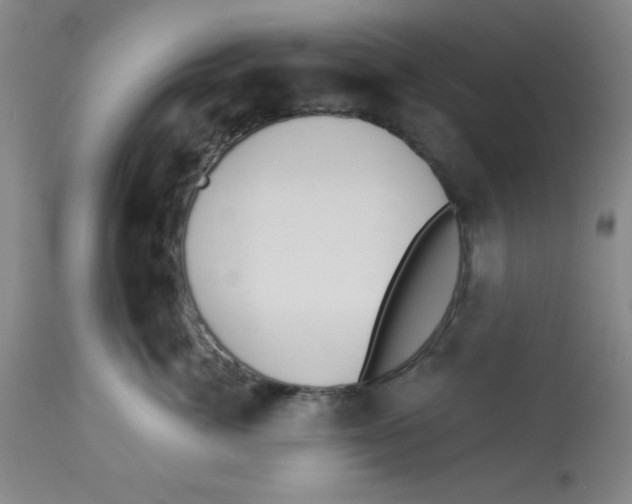 X0000112840764200909181712