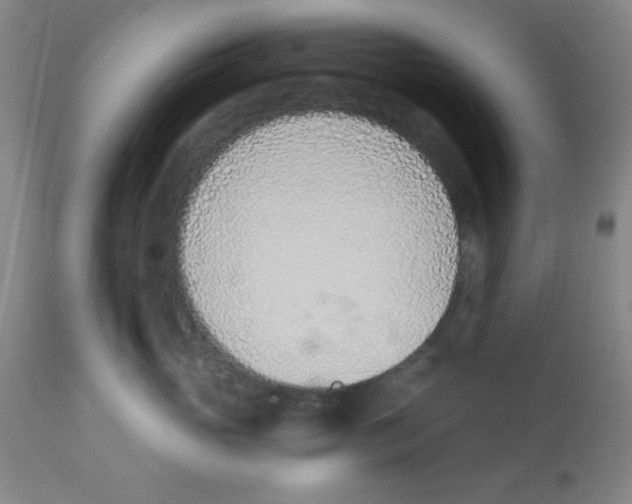 X0000112840765200909181712