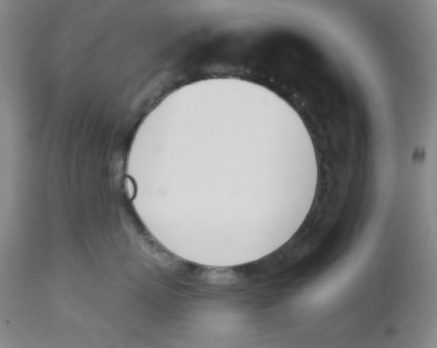 X0000112840767200909181712