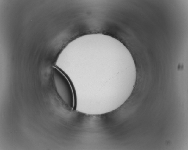 X0000112840768200909181712