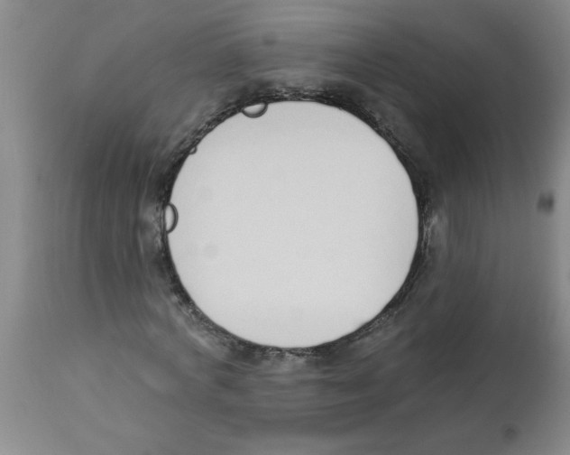 X0000112840772200909181712