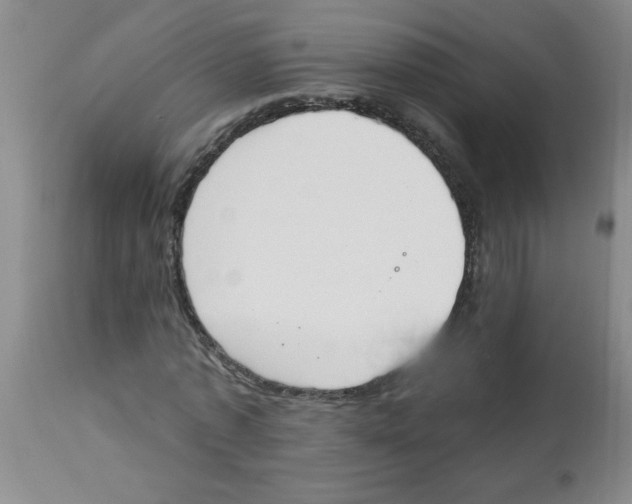 X0000112840773200909181712