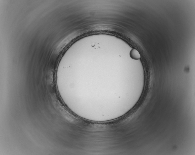 X0000112840777200909181712