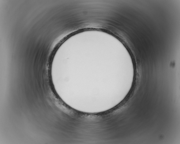 X0000112840779200909181712