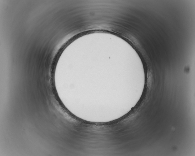 X0000112840780200909181712