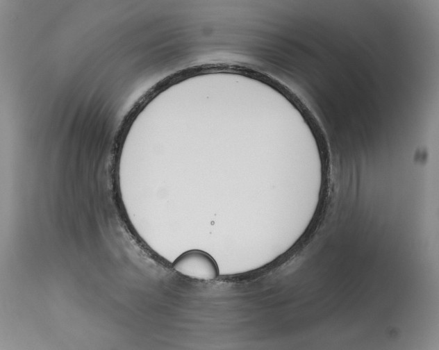 X0000112840783200909181712