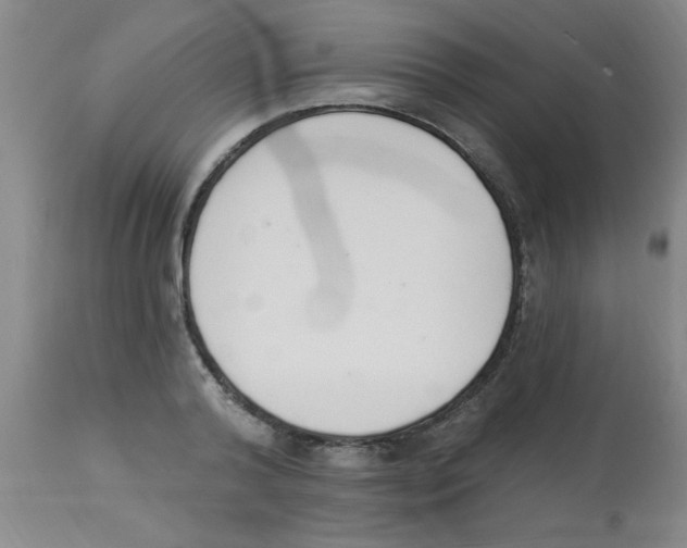 X0000112840792200909181711