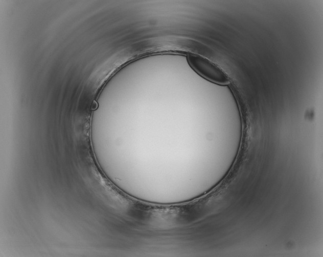 X0000112840793200909181711