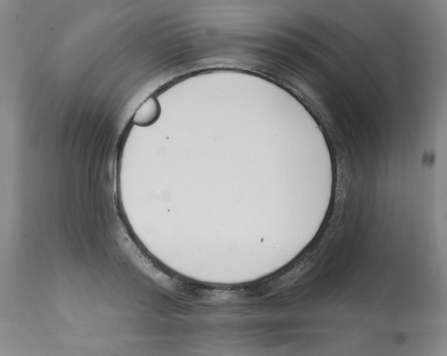 X0000112840796200909181711