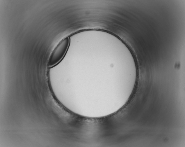 X0000112840797200909181711