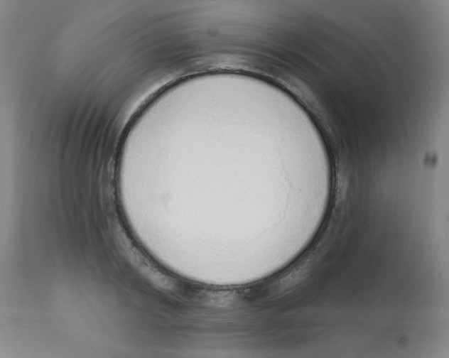 X0000112840798200909181711