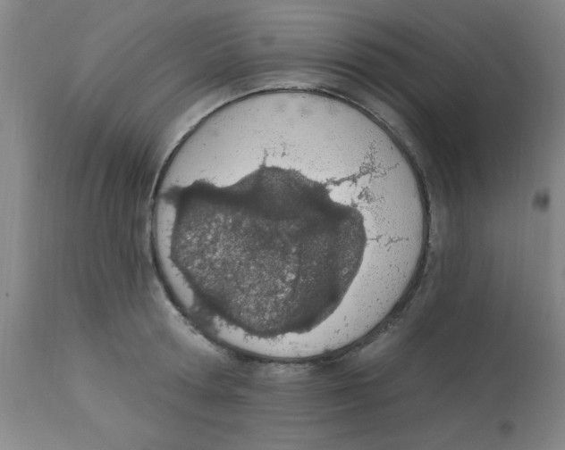 X0000112840802200909181711