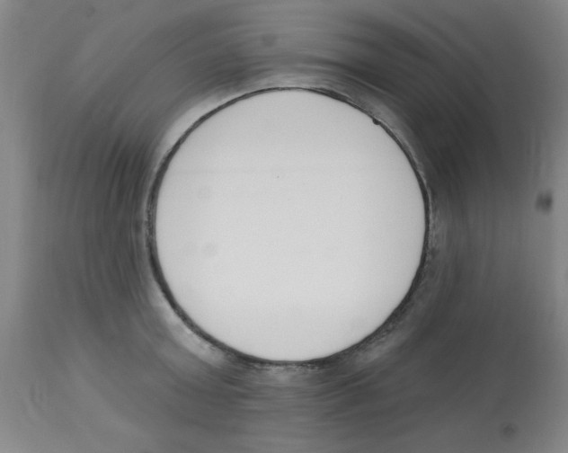 X0000112840803200909181711