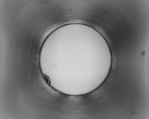 X0000112840805200909181711