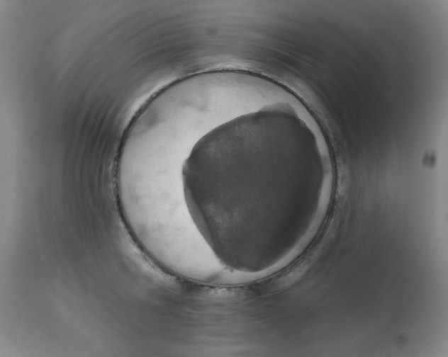 X0000112840806200909181711