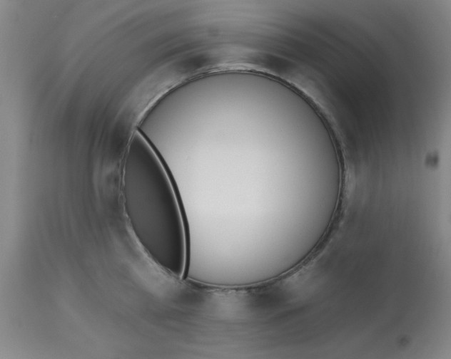 X0000112840809200909181711