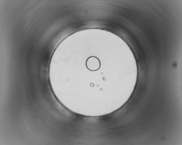 X0000112840810200909181711