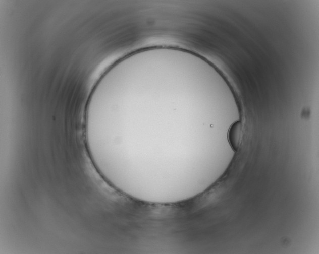 X0000112840815200909181711