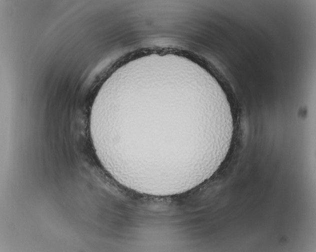 X0000112840823200909181710