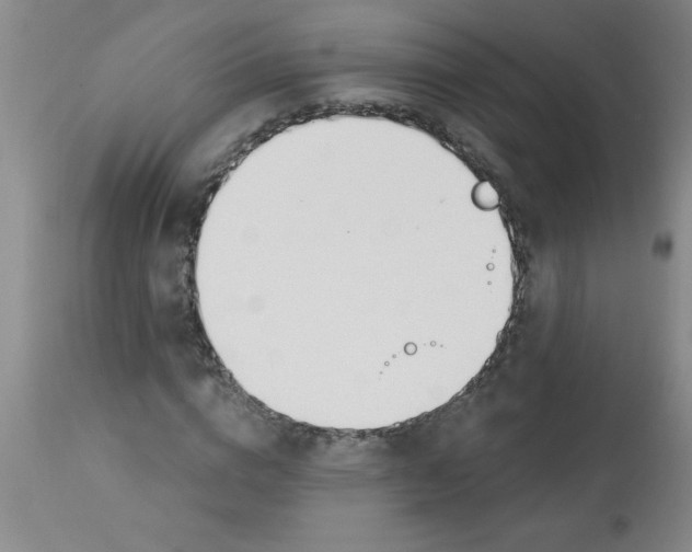 X0000112840824200909181711