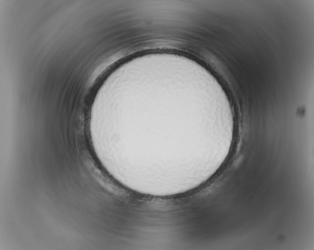 X0000112840827200909181711