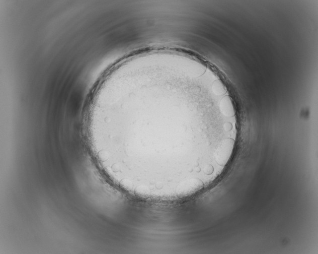 X0000112840832200909181711