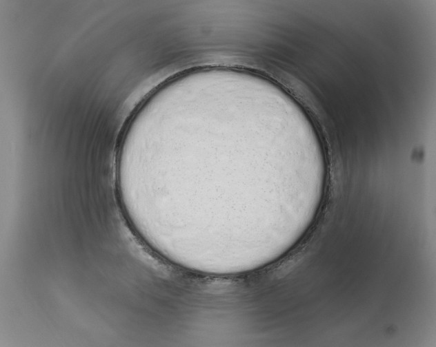 X0000112840839200909181711