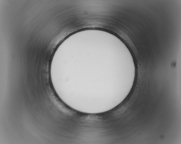 X0000112840842200909181711