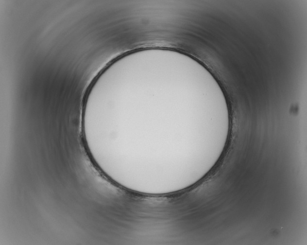 X0000112840844200909181711