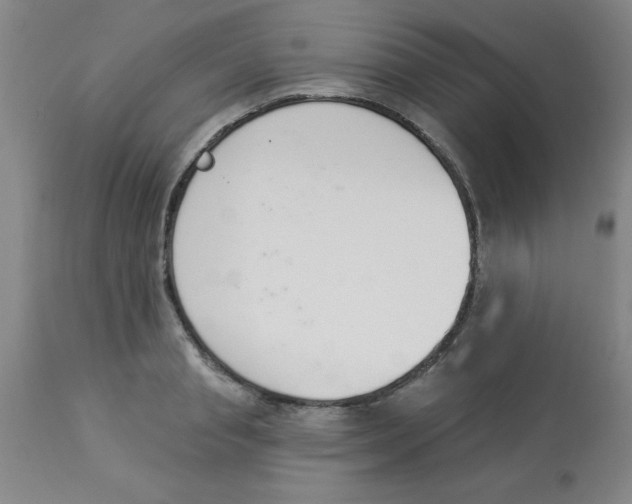 X0000112840845200909181711