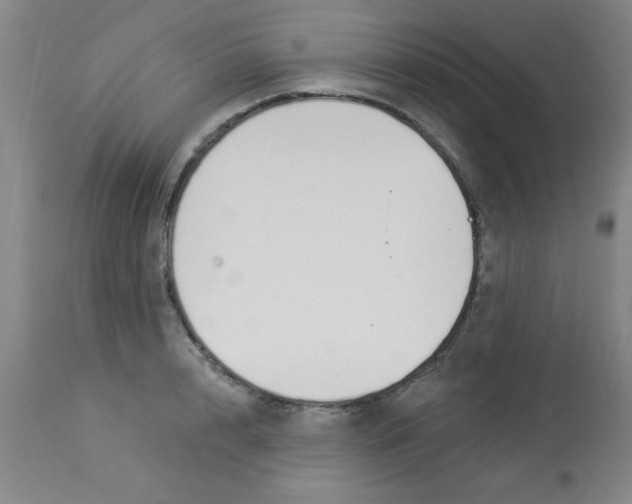 X0000112840848200909181711