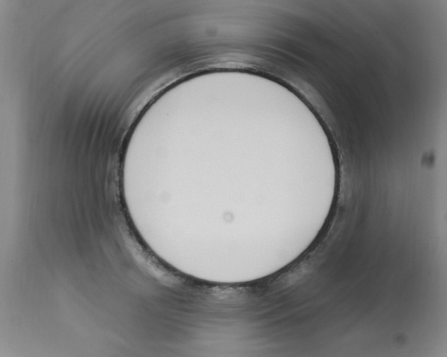 X0000112840850200909181711