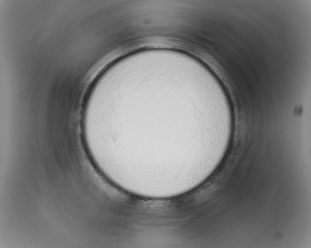 X0000112840853200909181711