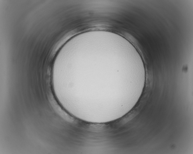 X0000112840859200909181711