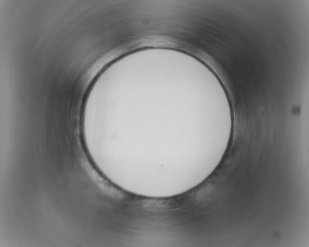 X0000112840861200909181711