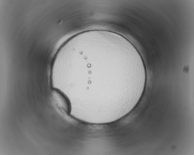 X0000112840862200909181711