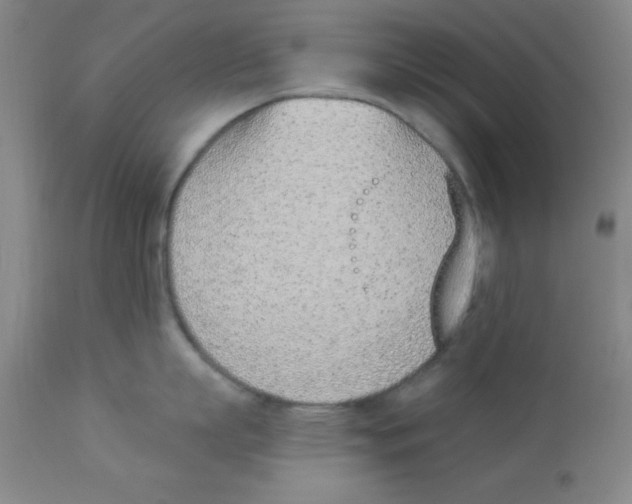 X0000112840863200909181711