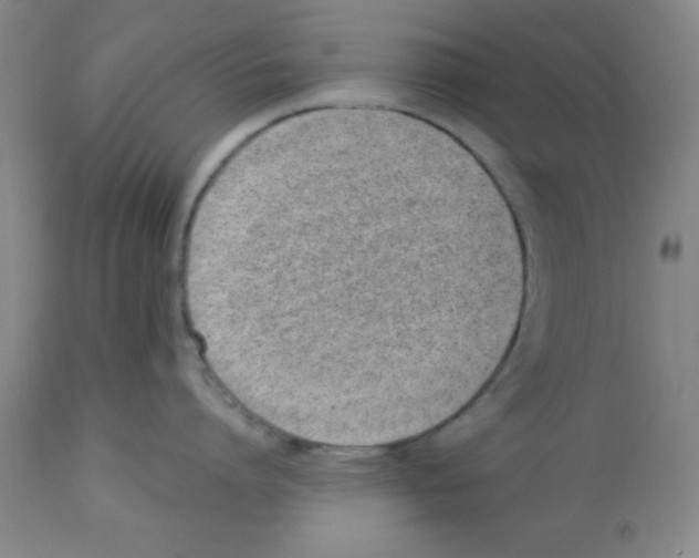 X0000112840864200909181711