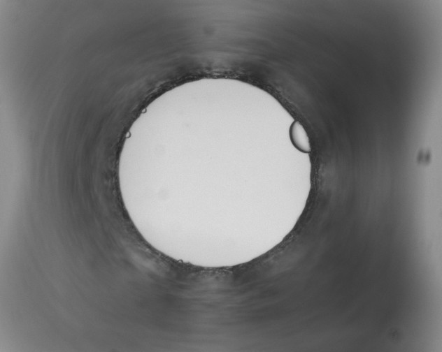 X0000112840865200909181710