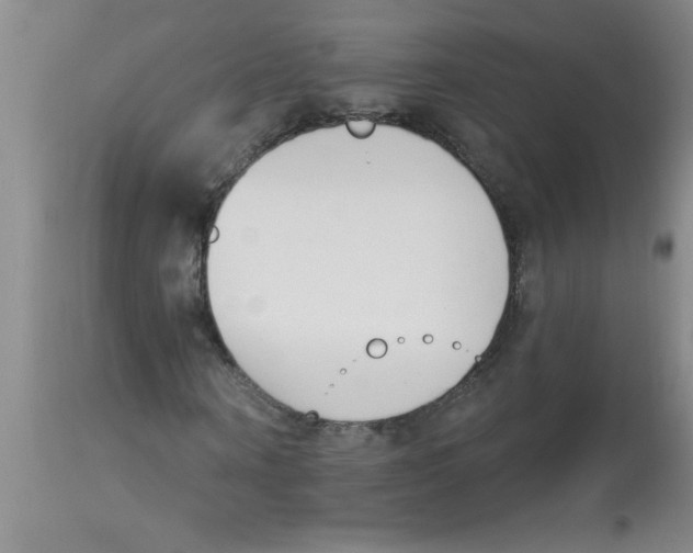 X0000112840866200909181710