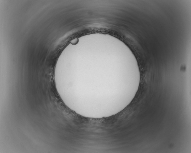 X0000112840870200909181710