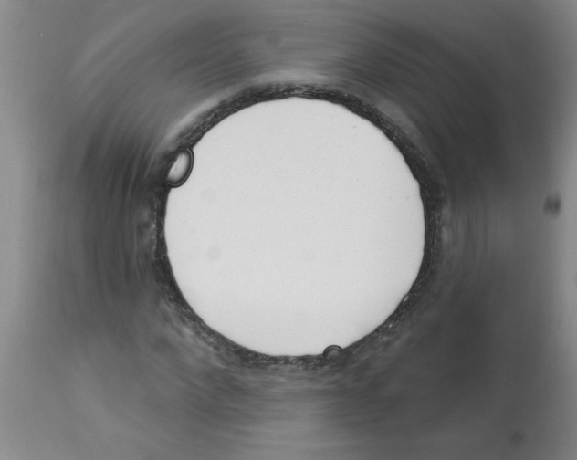 X0000112840872200909181710