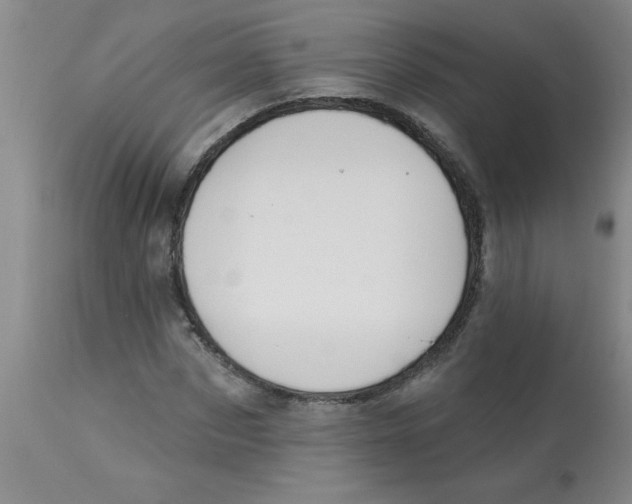 X0000112840873200909181710