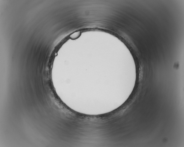 X0000112840876200909181710