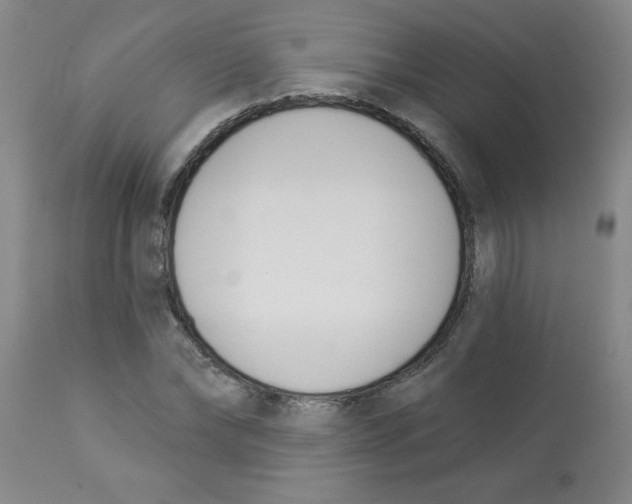 X0000112840878200909181710